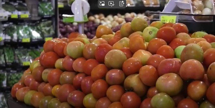 Preço das hortaliças registra queda e alivia o bolso do consumidor nesta semana