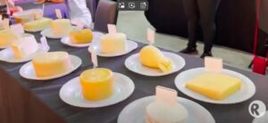 Leia mais sobre o artigo Festival em Cuiabá destaca os benefícios da produção e comercialização do queijo artesanal