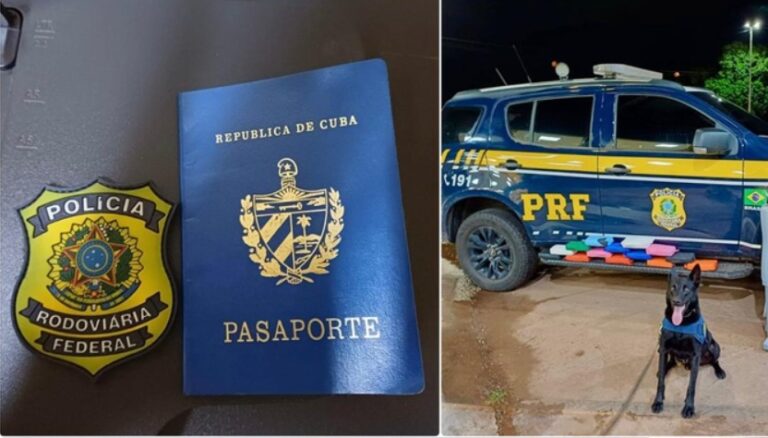 PRF apreende mais de 130 kg de drogas e detecta documento falso em Mato Grosso