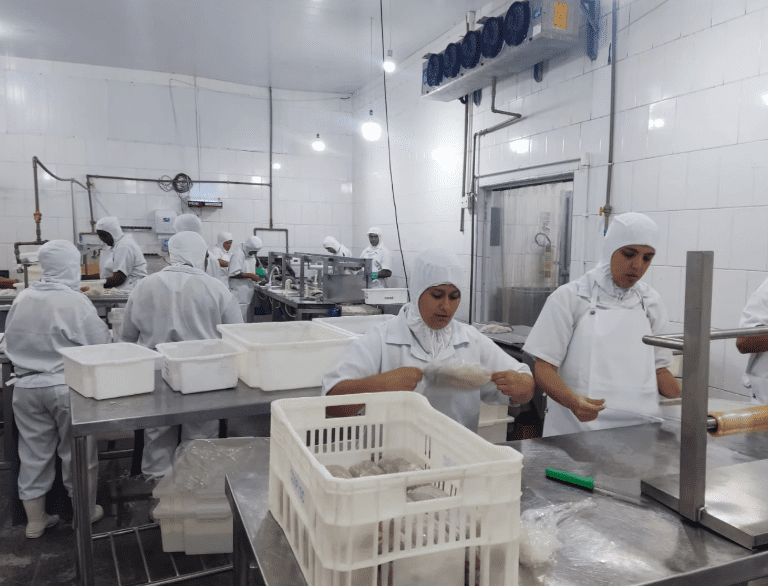 Empresa do setor de proteína animal fará seleção de currículos para vagas de auxiliar de produção