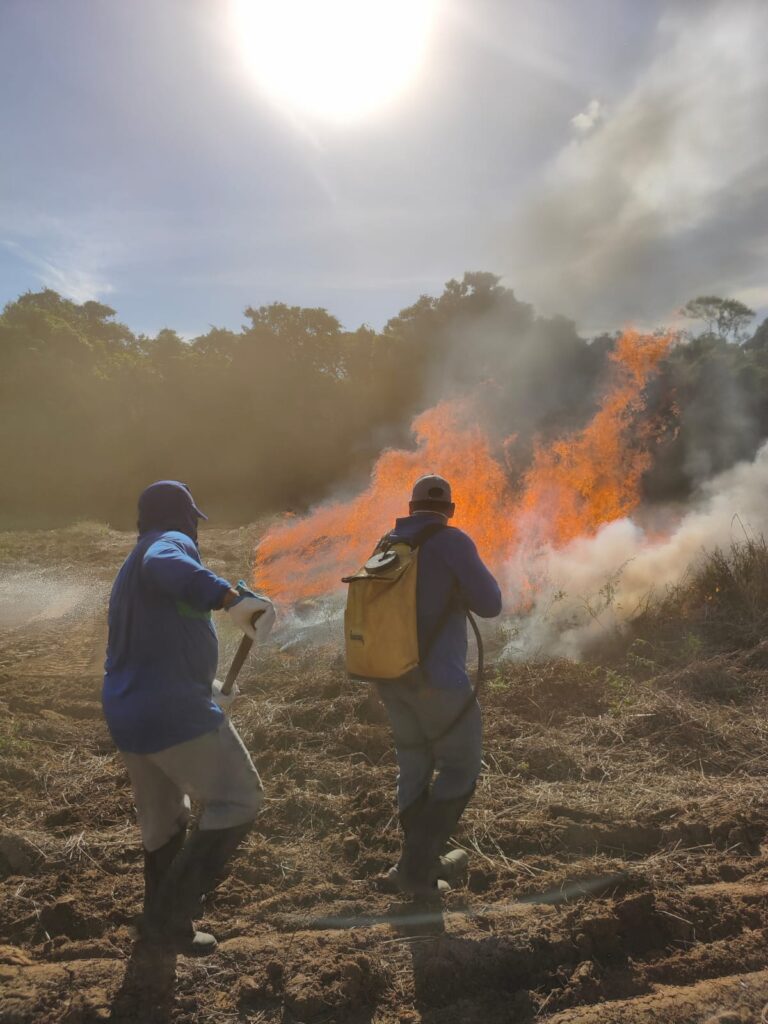 Cursos gratuitos de Brigadista Florestal já começaram e ainda têm vagas abertas