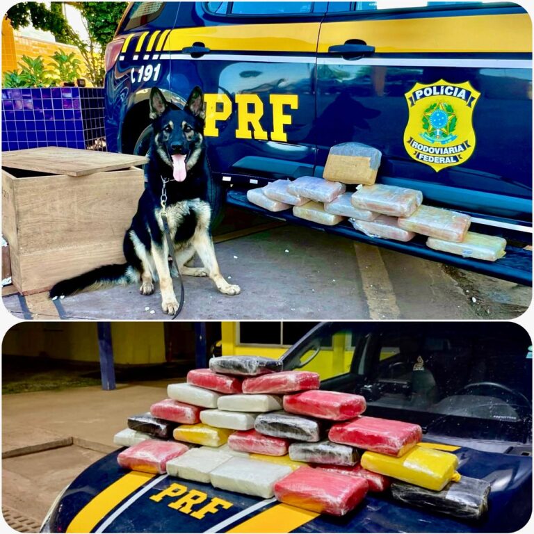PRF apreende droga em dois ônibus de passageiros na BR-364 em Mato Grosso