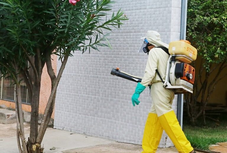 Mesmo no período de seca, cuidados com o Aedes aegypti devem ser mantidos