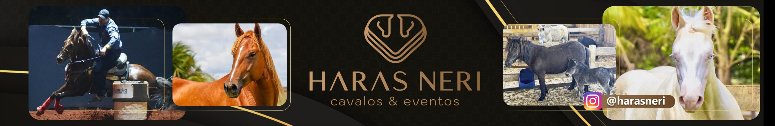 haras neri siteeeeee